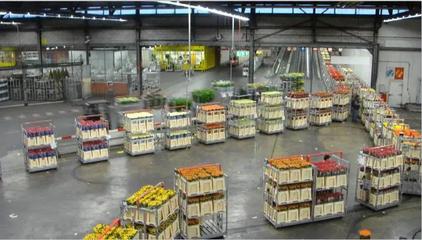 新農村 新征程 新發展|如何推動農產品物流與供應鏈的變革?