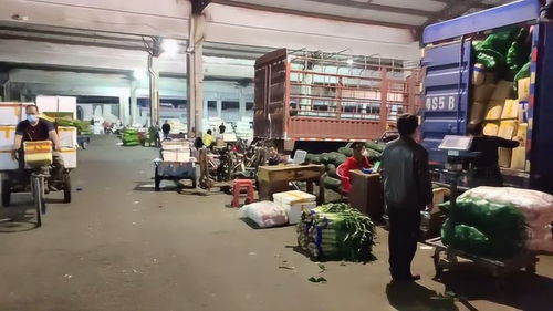 東莞特色商貿市場之12,莞城細村市場,市區蔬菜交易集散地