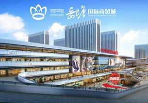 首付10萬 岳塘國際商貿城 搶旺鋪公寓 搶公寓 搶鋪子