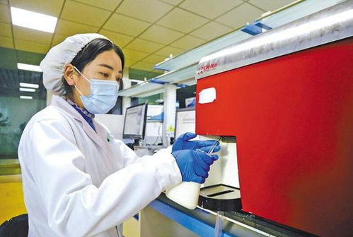 拉薩市 服務(wù)保障做到位 歡歡喜喜過新年