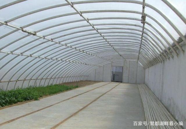 建一個一畝地的蔬菜大棚需要多少錢？